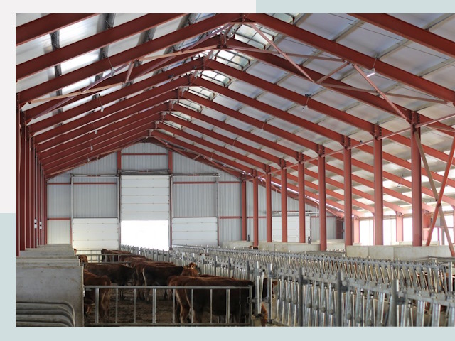 Строительство коровников в Мелеузе