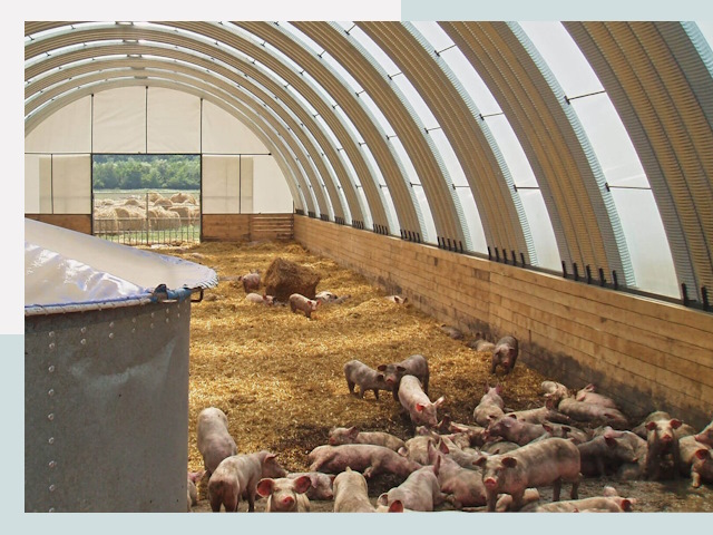 Строительство свинарников в Мелеузе